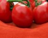 Photo for Global Tomato Powder Market 2016 Product types, Revenue, Price, Share and Growth 2021