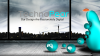 Photo for Technopear - Leading IT company in Vapi, Valsad, Silvassa, Daman