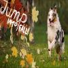 Photo for Uptown Hound Doggy Day Spa