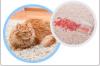 Photo for Carpet Cleaning Dickinson TX