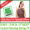 Photo for TX Spring Carpet Cleaning