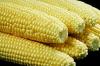 Photo for Tembotrione Market is Expected to Reach US$ 51.2 Mn by 2020