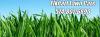 Photo for Elkhart Lawn Care