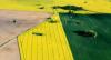 Photo for Global Precision Farming Software & Services Market 2016 Product types, sales, Revenue, Price,Share and Growth 2021