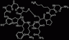 Photo for Terlipressin