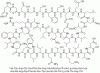 Photo for Teduglutide