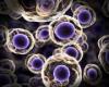 Photo for Global Autoimmune Disorders Treatment Market 2016 Product types, sales, Price,Share and Growth 2021