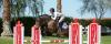 Photo for Equestrian Training Facilities 