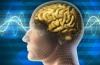 Photo for Global Brain Implants Market Research Report 2016