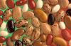 Photo for Biological Seed Treatment Market – An Alternative to chemical pesticides (Insecticides) provides healthy start for seed: Market is Expected to growth during Forecast by 2023