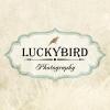 Photo for Luckybird Photo
