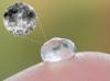 Photo for Global Nanocrystalline Cellulose Market: Growth, Trends, Absolute Opportunity 2020