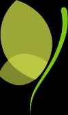 Photo for Welcome to Integrative Medicine