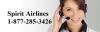 Photo for Spirit Airlines Booking Number 1-877-285-3426 Online Booking