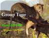 Photo for Bienvenido Kenya Tours & Safaris
