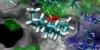 Photo for Global Bioinformatics Market 2016 Product Types,Sales,Price,Share and Growth 2021