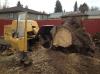 Photo for A-1 Stump Removal
