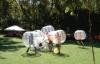 Photo for bubble soccer suits
