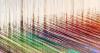 Photo for Textile Fibers Market : By Application Segment Analysis, 2015 – 2021