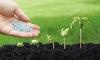 Photo for Biopesticides Market size, Absolute Opportunity and Value Chain 2021
