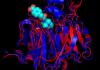 Photo for Global Anthrac Technologye Market 2016 by Manufacturers, Regions, Growth, Trends, Forecast to 2021