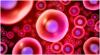 Photo for Human Peripheral Blood Cells