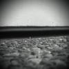 Photo for Ampm Exterminators