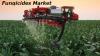 Photo for Global Fungicides Market: Growth, Trends, Absolute Opportunity 2021