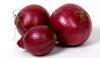 Photo for Global Onion Market 2016 by Manufacturers, Regions, Type and Application, Forecast to 2021