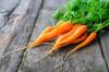 Photo for Global Carrot Market 2016 by Manufacturers, Regions, Type and Application, Forecast to 2021