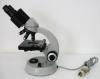 Photo for Global Binocular Microscope Sales Market 2016 Industry Share and Growth, Revenue, Price and Analysis to 2021