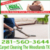 Photo for TX The Woodlands Carpet Cleaning