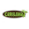 Photo for Cariloha Bamboo