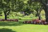Photo for Sergios Lawn Services
