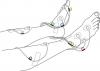 Photo for Global Transcutaneous Oxygen Market 2016 by Manufacturers, Share, Sales, Revenue, Price and Forecast to 2021