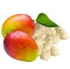 Photo for Global Mango Butter Market 2016 by Manufacturers, Share, Sales, Revenue, Price and Forecast to 2021