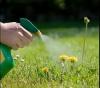 Photo for Global Bioherbicide Market 2016 Industry Share and Growth, Revenue, Price and Analysis to 2021
