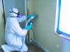 Photo for Global Mold Solutions LLC