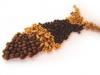 Photo for Aquafeed Market: Asia- Pacific region has rising demand for fish feed