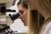 Photo for Global Veterinary Reference Laboratory Market 2016 Production, Price, Revenue, Cost, Gross Margin and Analysis by 2022