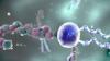Photo for Global Medical Animation Market 2016 Production, Price, Revenue, Cost, Gross Margin and Analysis by 2022