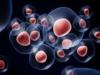 Photo for Global HLA Typing for Transplant Market 2016 Production, Price, Revenue, Cost, Gross Margin and Analysis by 2022