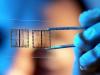 Photo for Global Biochips Market 2016 Production, Price, Revenue, Cost, Gross Margin and Analysis by 2022