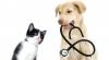Photo for Global Veterinary Diagnostics Market 2016 Production, Price, Revenue, Cost, Gross Margin and Analysis by 2022