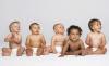 Photo for Donor Egg Banks: Assisting In Affordable Third-Party Reproductive Solutions