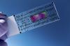 Photo for Global Microfluidics Market Size, Analysis, Competitive Strategies and Forecasts, 2016 - Reseach Beam