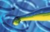 Photo for Global Vitro Diagnostics (IVD) Market 2016 Production, Price, Revenue, Cost, Gross Margin and Analysis by 2022