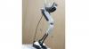 Photo for Global Walking Assist Devices Market 2016 Production, Price, Revenue, Cost, Gross Margin and Analysis by 2022