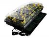 Photo for Global Germination Kits Sales Market 2016 Aerogrow, Hydrofarm, Jiffy, Viagrow, Super sprouter