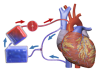 Photo for Global Heart Lung Machine Market 2016 - Sorin, MAQUET, Medtronic, Terumo, Braile Biomedica